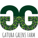 Gatura Greens website design development with weis web dveelopers